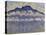 Schynige Platte, paysage de l'Oberland bernois, Suisse ou La Pointe d'Andey vue de Bonneville-Ferdinand Hodler-Stretched Canvas