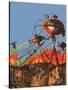 Sci Fi - War of the Worlds, 1927-Frank R Paul-Stretched Canvas