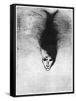 Sciapode, C1860-1910-Odilon Redon-Framed Stretched Canvas