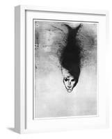 Sciapode, C1860-1910-Odilon Redon-Framed Giclee Print