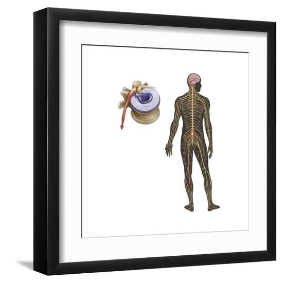 Art Print, , large