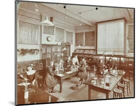 Science Class, Aristotle Road Girls School, Clapham, London, 1908-null-Mounted Photographic Print
