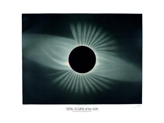 Photographic Print, , large