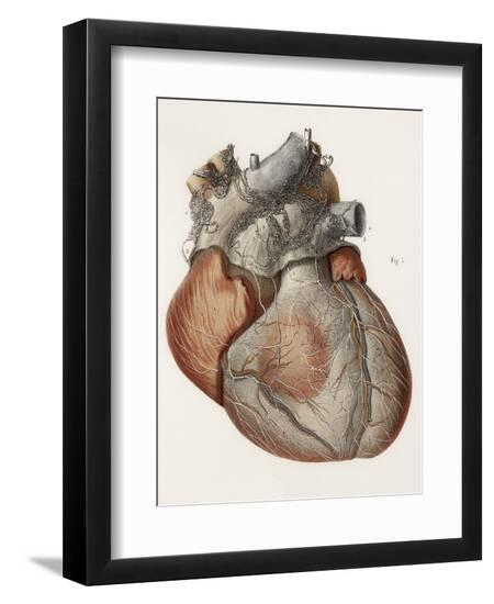 Premium Photographic Print, , large
