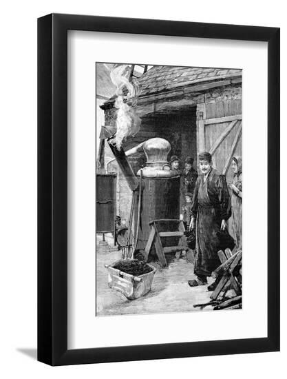 Photographic Print, , large