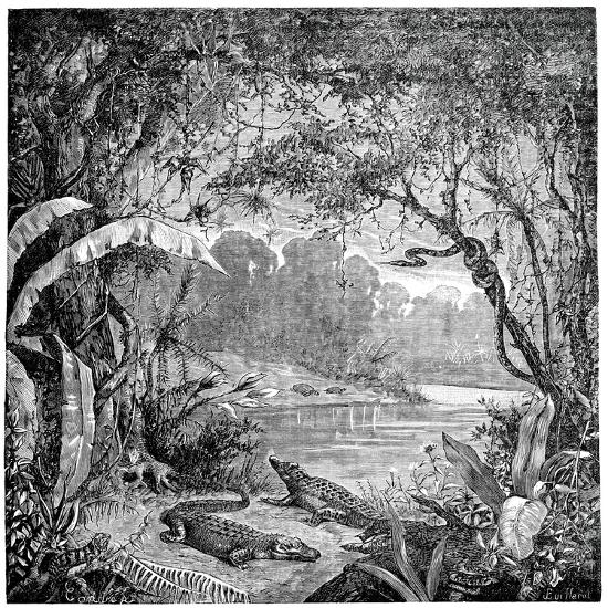 Photographic Print, , large