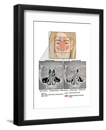 Art Print, , large