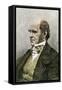 Sciences and Scientists: Portrait of the English Naturalist Charles Darwin (1809-1882), London. Col-null-Framed Stretched Canvas