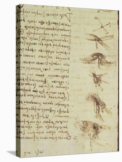 Scientific Diagrams, from the 'Codex Leicester', 1508-12-Leonardo da Vinci-Stretched Canvas