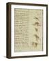 Scientific Diagrams, from the 'Codex Leicester', 1508-12-Leonardo da Vinci-Framed Giclee Print