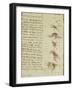 Scientific Diagrams, from the 'Codex Leicester', 1508-12-Leonardo da Vinci-Framed Giclee Print