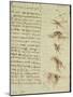 Scientific Diagrams, from the 'Codex Leicester', 1508-12-Leonardo da Vinci-Mounted Giclee Print