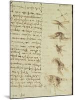 Scientific Diagrams, from the 'Codex Leicester', 1508-12-Leonardo da Vinci-Mounted Giclee Print
