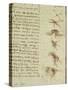 Scientific Diagrams, from the 'Codex Leicester', 1508-12-Leonardo da Vinci-Stretched Canvas