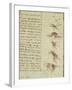 Scientific Diagrams, from the 'Codex Leicester', 1508-12-Leonardo da Vinci-Framed Giclee Print