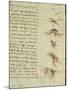 Scientific Diagrams, from the 'Codex Leicester', 1508-12-Leonardo da Vinci-Mounted Giclee Print