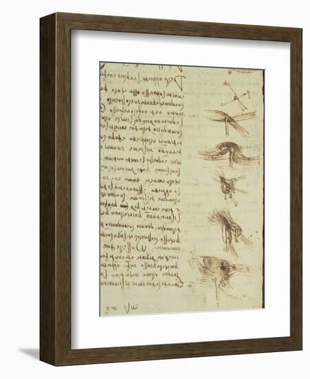 Scientific Diagrams, from the 'Codex Leicester', 1508-12-Leonardo da Vinci-Framed Giclee Print