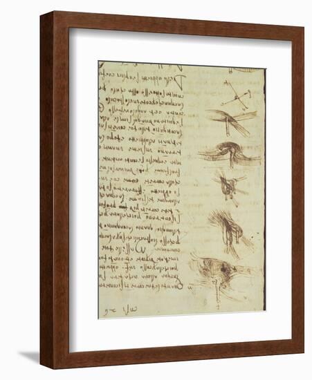 Scientific Diagrams, from the 'Codex Leicester', 1508-12-Leonardo da Vinci-Framed Giclee Print