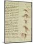 Scientific Diagrams, from the 'Codex Leicester', 1508-12-Leonardo da Vinci-Mounted Giclee Print