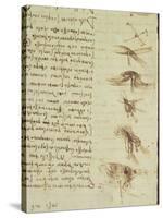 Scientific Diagrams, from the 'Codex Leicester', 1508-12-Leonardo da Vinci-Stretched Canvas