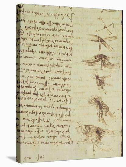 Scientific Diagrams, from the 'Codex Leicester', 1508-12-Leonardo da Vinci-Stretched Canvas