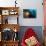 Scientific Diver Looks on at a Giant Starfish, Antarctic Peninsula-null-Stretched Canvas displayed on a wall