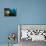 Scientific Diver Looks on at a Giant Starfish, Antarctic Peninsula-null-Photographic Print displayed on a wall