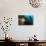 Scientific Diver Looks on at a Giant Starfish, Antarctic Peninsula-null-Photographic Print displayed on a wall