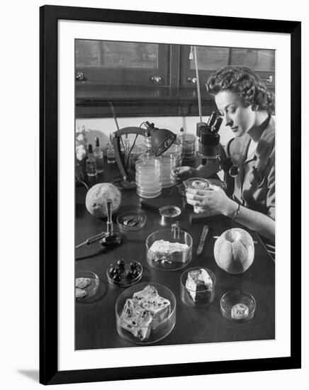 Scientist Examining Molds-null-Framed Photographic Print