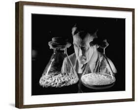 Scientist Examining Sample Mold Strains-null-Framed Photographic Print