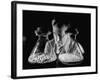 Scientist Examining Sample Mold Strains-null-Framed Photographic Print