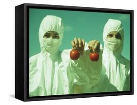 Scientists Holding GM Tomatoes-Cristina-Framed Stretched Canvas