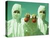 Scientists Holding GM Tomatoes-Cristina-Stretched Canvas