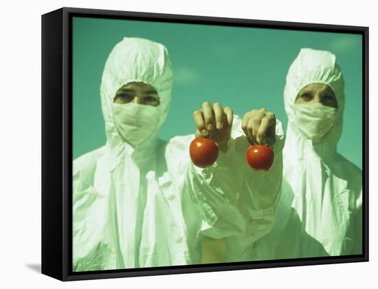 Scientists Holding GM Tomatoes-Cristina-Framed Stretched Canvas