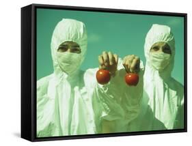 Scientists Holding GM Tomatoes-Cristina-Framed Stretched Canvas