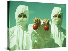 Scientists Holding GM Tomatoes-Cristina-Stretched Canvas