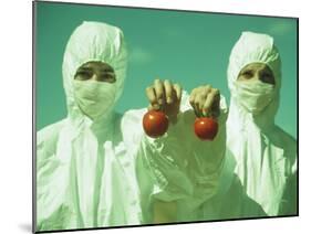 Scientists Holding GM Tomatoes-Cristina-Mounted Photographic Print