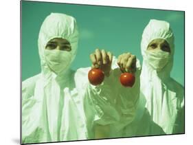 Scientists Holding GM Tomatoes-Cristina-Mounted Photographic Print