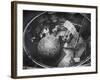 Scientists Studying Moon Phases on Models in Preparation for Us Manned Flight to Moon-null-Framed Photographic Print