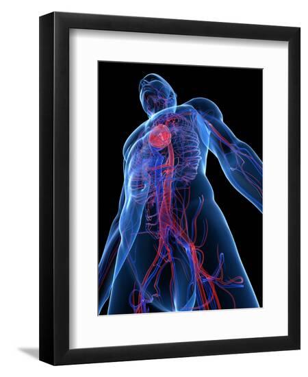 Premium Photographic Print, , large