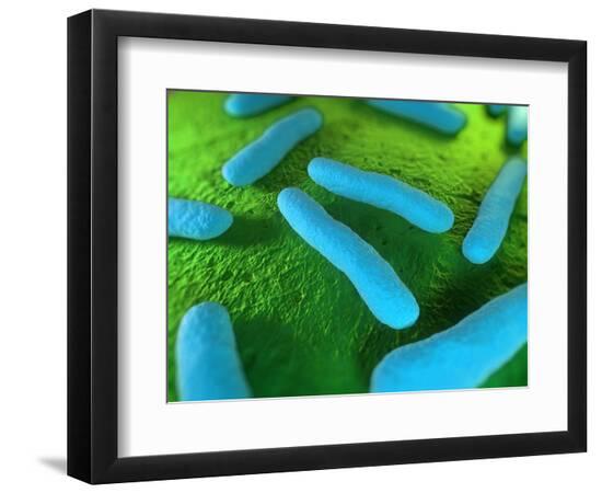 Premium Photographic Print, , large