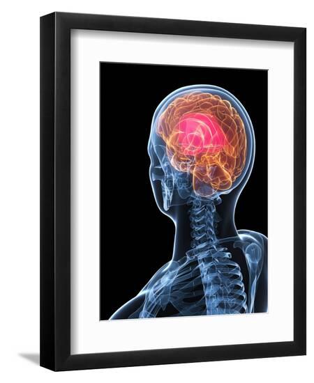Premium Photographic Print, , large