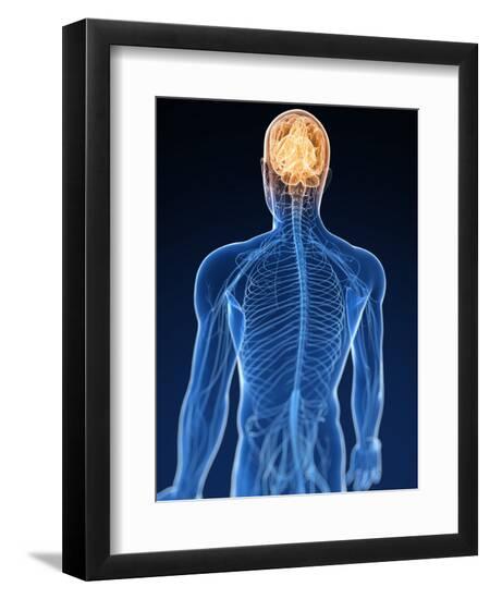 Premium Photographic Print, , large
