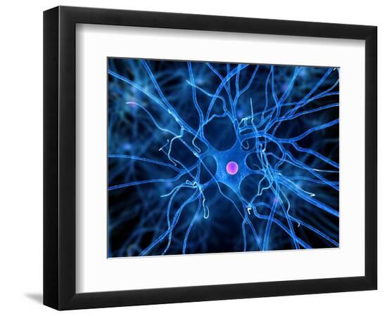 Premium Photographic Print, , large