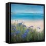 Scillies Beach-Stephen Mitchell-Framed Stretched Canvas