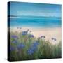Scillies Beach-Stephen Mitchell-Stretched Canvas