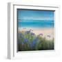 Scillies Beach-Stephen Mitchell-Framed Art Print