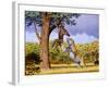 Scimitar Cat Attacking a Hominid-Mauricio Anton-Framed Photographic Print