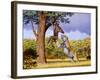 Scimitar Cat Attacking a Hominid-Mauricio Anton-Framed Photographic Print