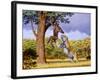 Scimitar Cat Attacking a Hominid-Mauricio Anton-Framed Photographic Print